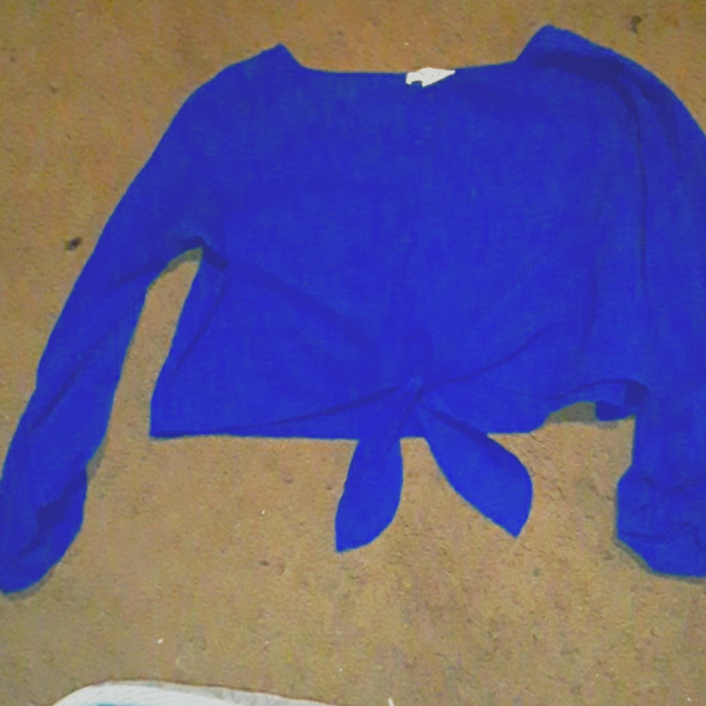 Blue crop top with ruffled sleeves